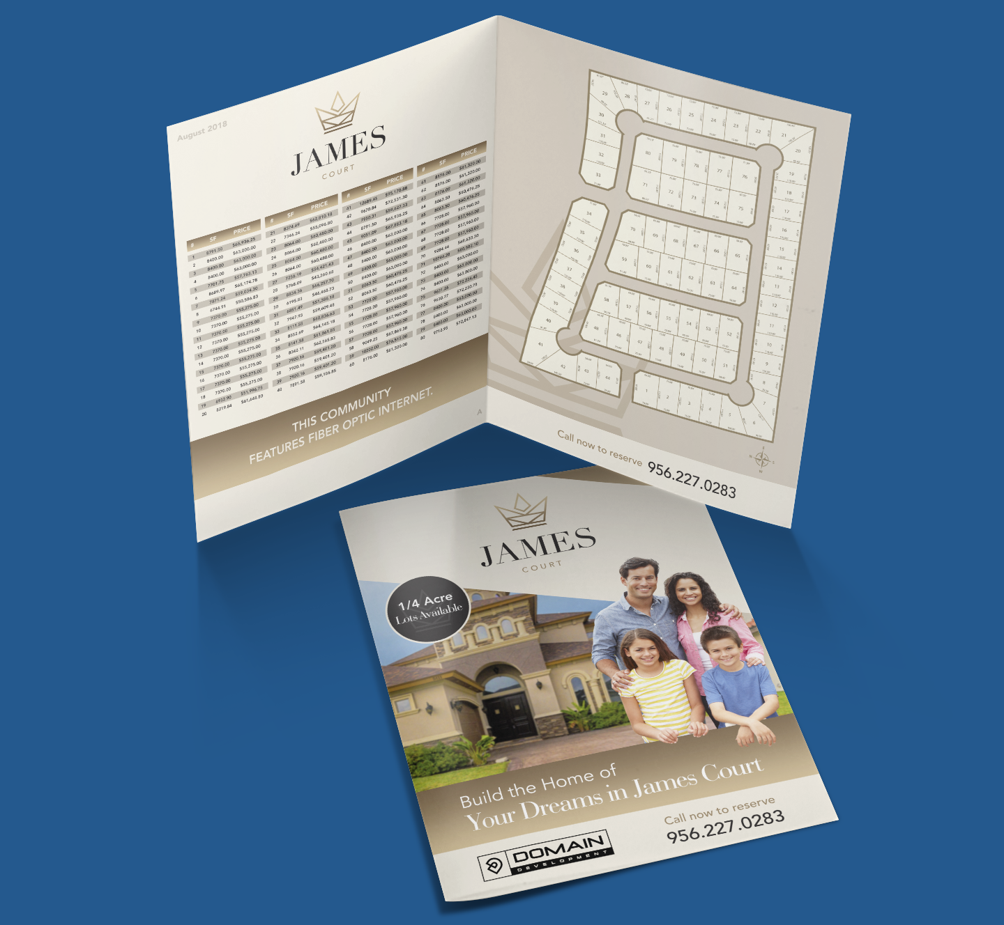 Domain Development - Print